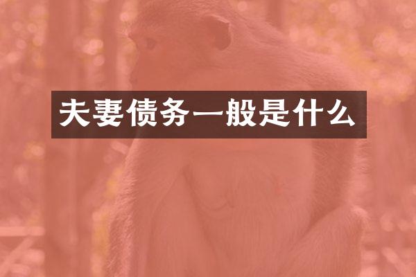 夫妻债务一般是什么
