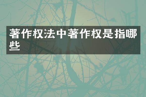 著作权法中著作权是指哪些