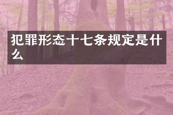 犯罪形态十七条规定是什么