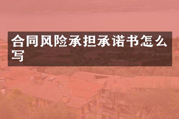 合同风险承担承诺书怎么写