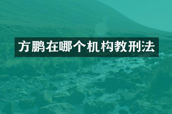 方鹏在哪个机构教刑法