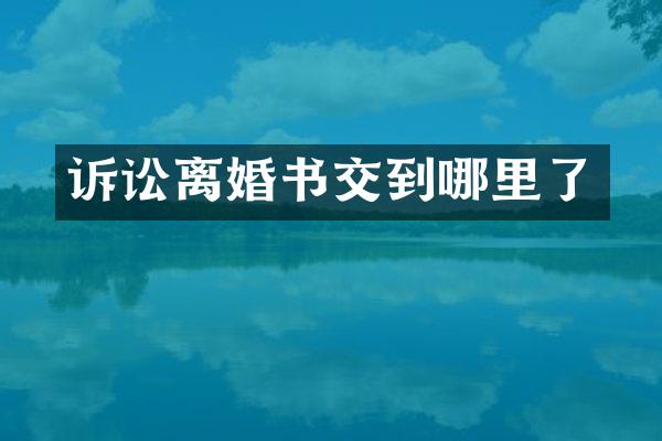 诉讼离婚书交到哪里了