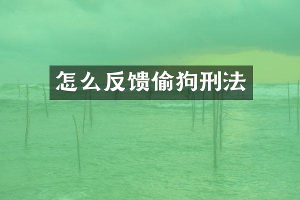 怎么反馈刑法