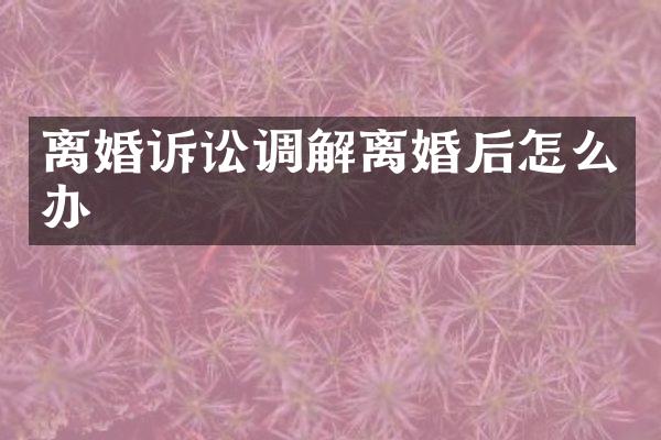 离婚诉讼调解离婚后怎么办