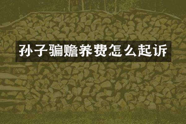 孙子骗赡养费怎么起诉