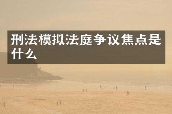 刑法模拟法庭争议焦点是什么