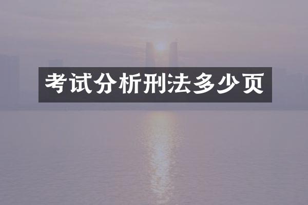 考试分析刑法多少页