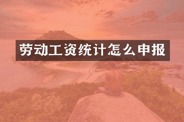 劳动工资统计怎么申报