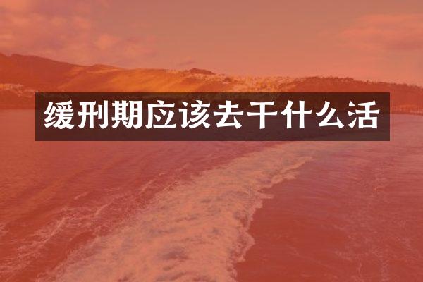 缓刑期应该去干什么活