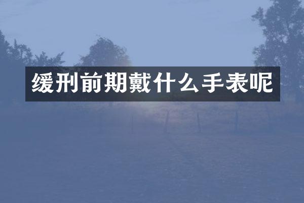 缓刑前期戴什么手表呢