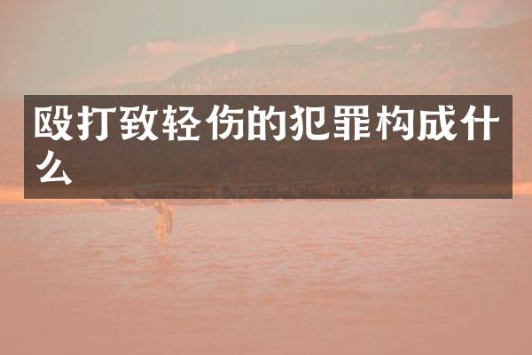 殴打致轻伤的犯罪构成什么