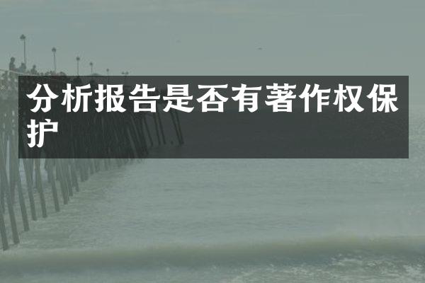 分析报告是否有著作权保护