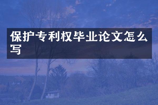 保护专利权毕业论文怎么写