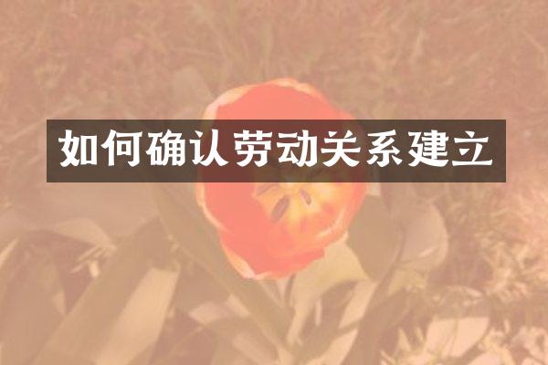 如何确认劳动关系建立