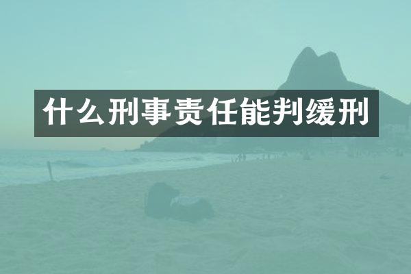 什么刑事责任能判缓刑