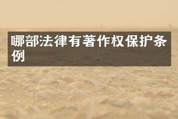 哪部法律有著作权保护条例