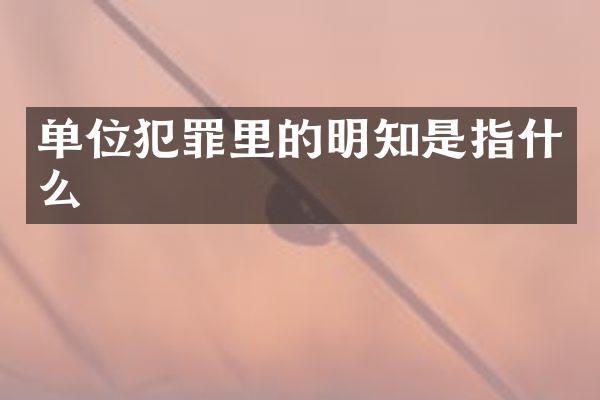 单位犯罪里的明知是指什么