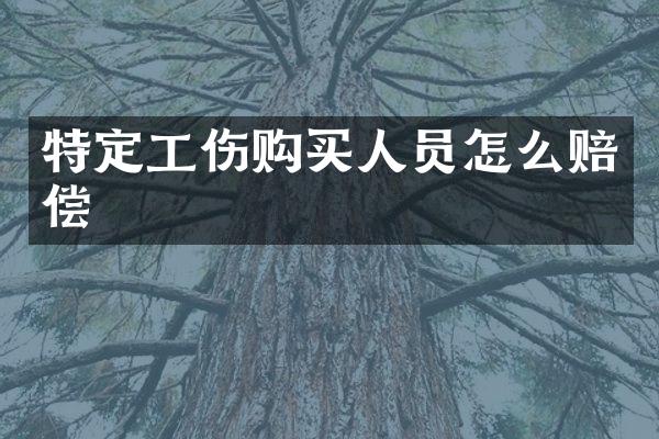 特定工伤购买人员怎么赔偿