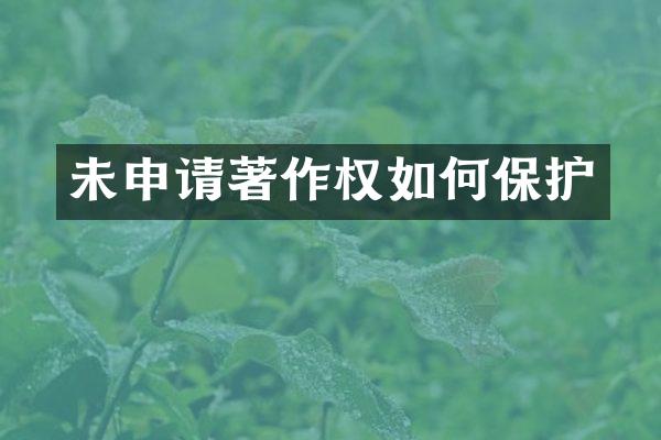 未申请著作权如何保护