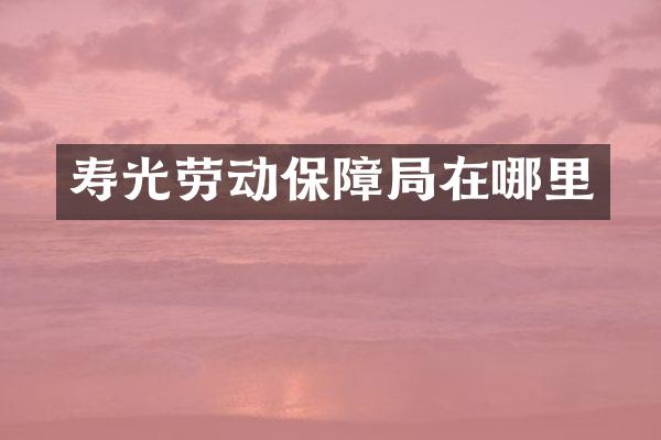 寿光劳动保障局在哪里