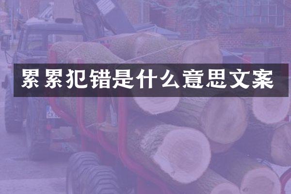 累错是什么意思文案