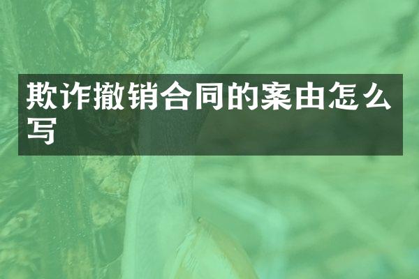欺诈撤销合同的案由怎么写