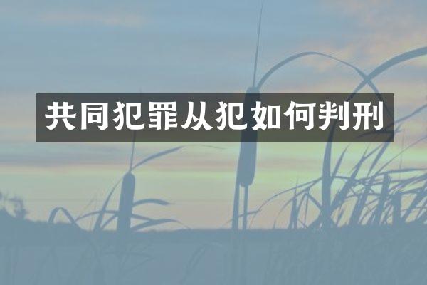 共同犯罪从犯如何判刑