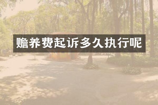 赡养费起诉多久执行呢