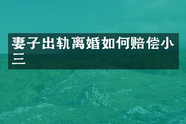 妻子出轨离婚如何赔偿