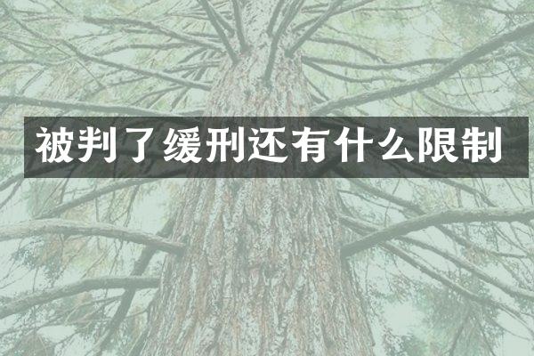 被判了缓刑还有什么限制