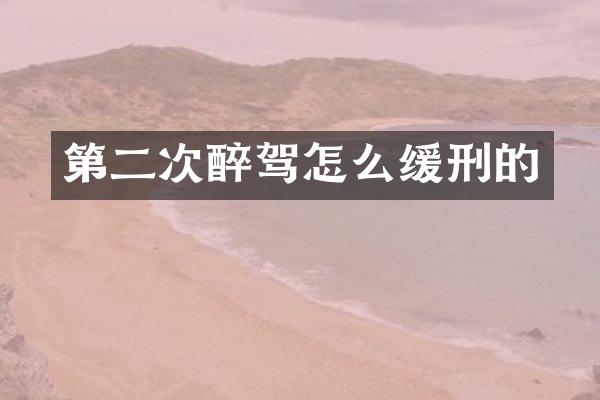 第二次醉驾怎么缓刑的
