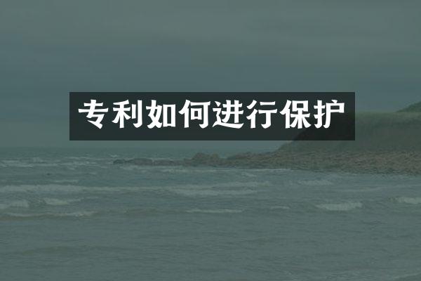 专利如何进行保护