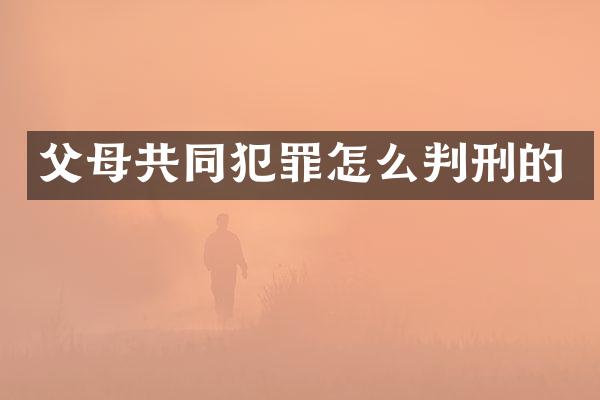 父母共同犯罪怎么判刑的