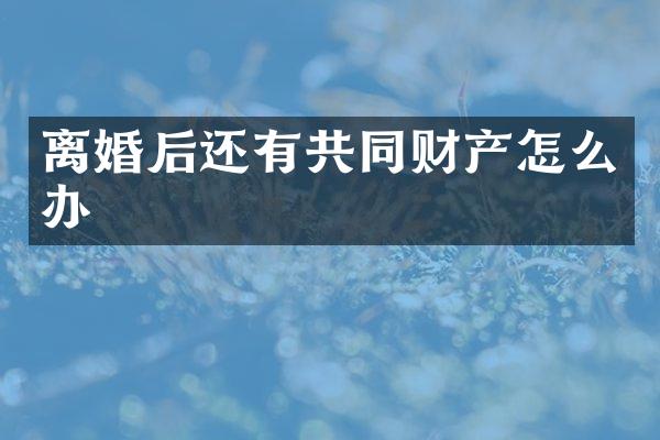 离婚后还有共同财产怎么办