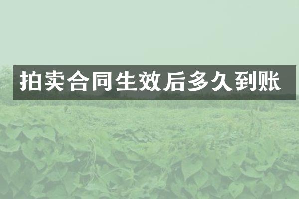 拍卖合同生效后多久到账