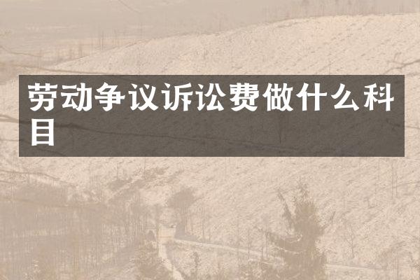 劳动争议诉讼费做什么科目