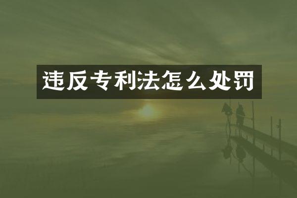 违反专利法怎么处罚