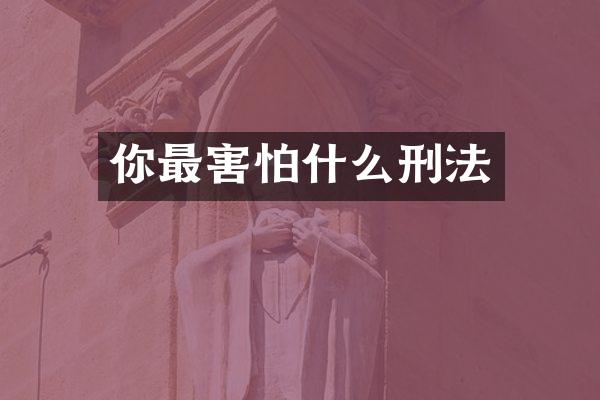 你最害怕什么刑法