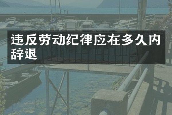 违反劳动纪律应在多久内辞退