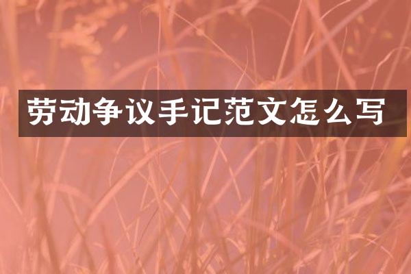 劳动争议手记范文怎么写