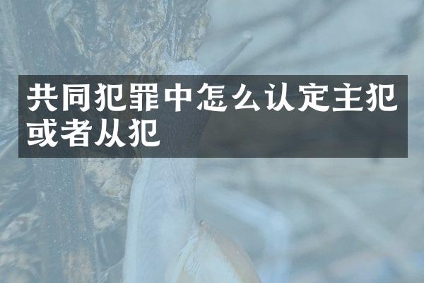 共同犯罪中怎么认定或者从犯