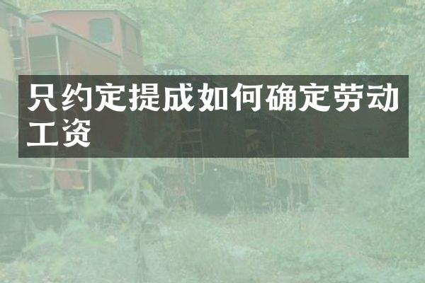 只约定如何确定劳动工资