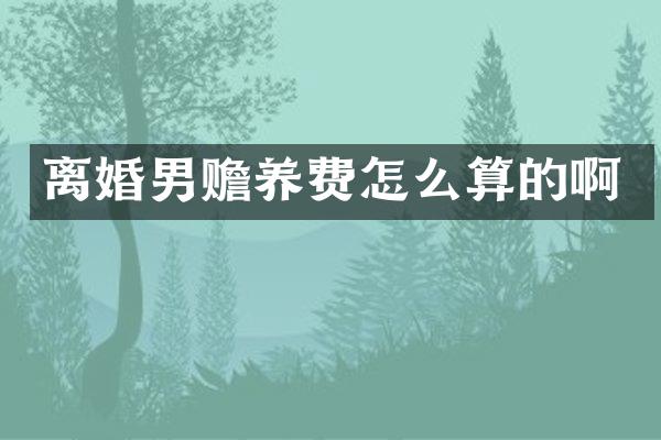 离婚男赡养费怎么算的啊