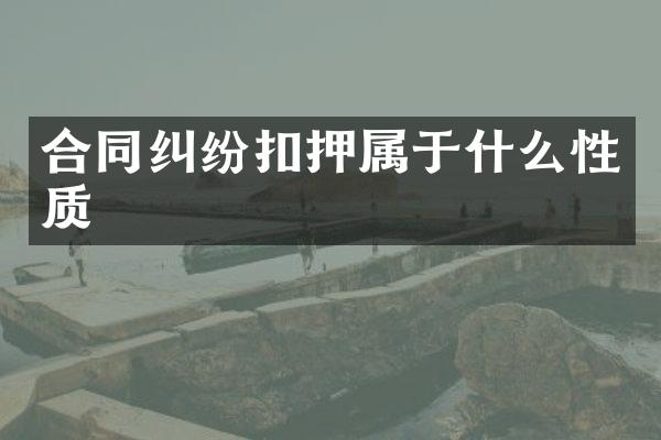 合同纠纷扣押属于什么性质