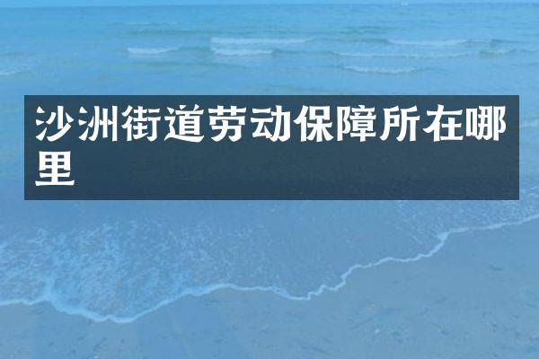 沙洲街道劳动保障所在哪里