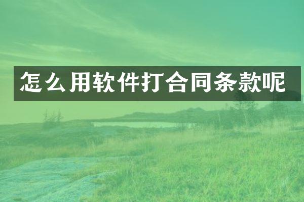 怎么用软件打合同条款呢