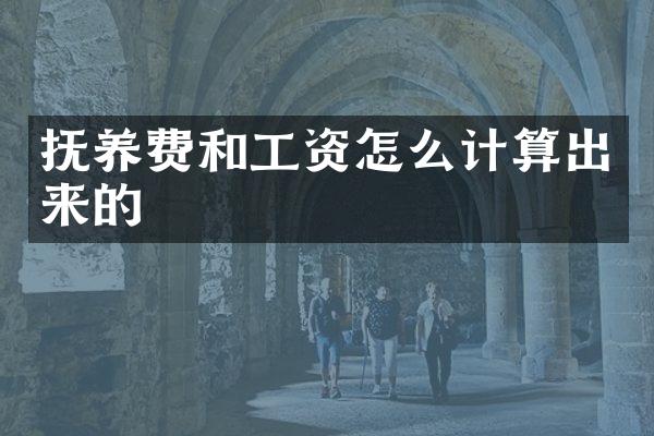 抚养费和工资怎么计算出来的