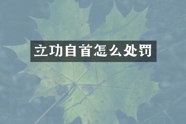 立功自首怎么处罚