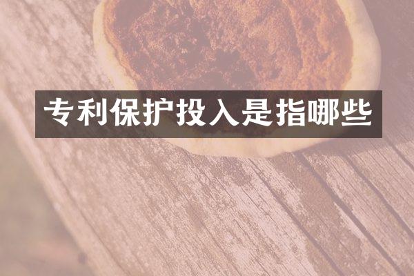专利保护投入是指哪些