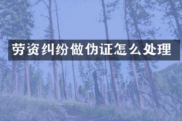 劳资纠纷做伪证怎么处理